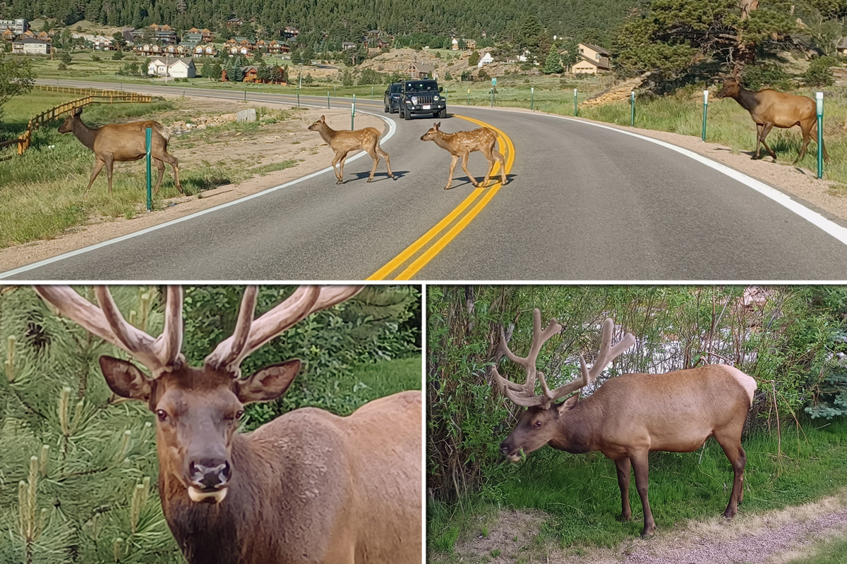 colo_Estes Park